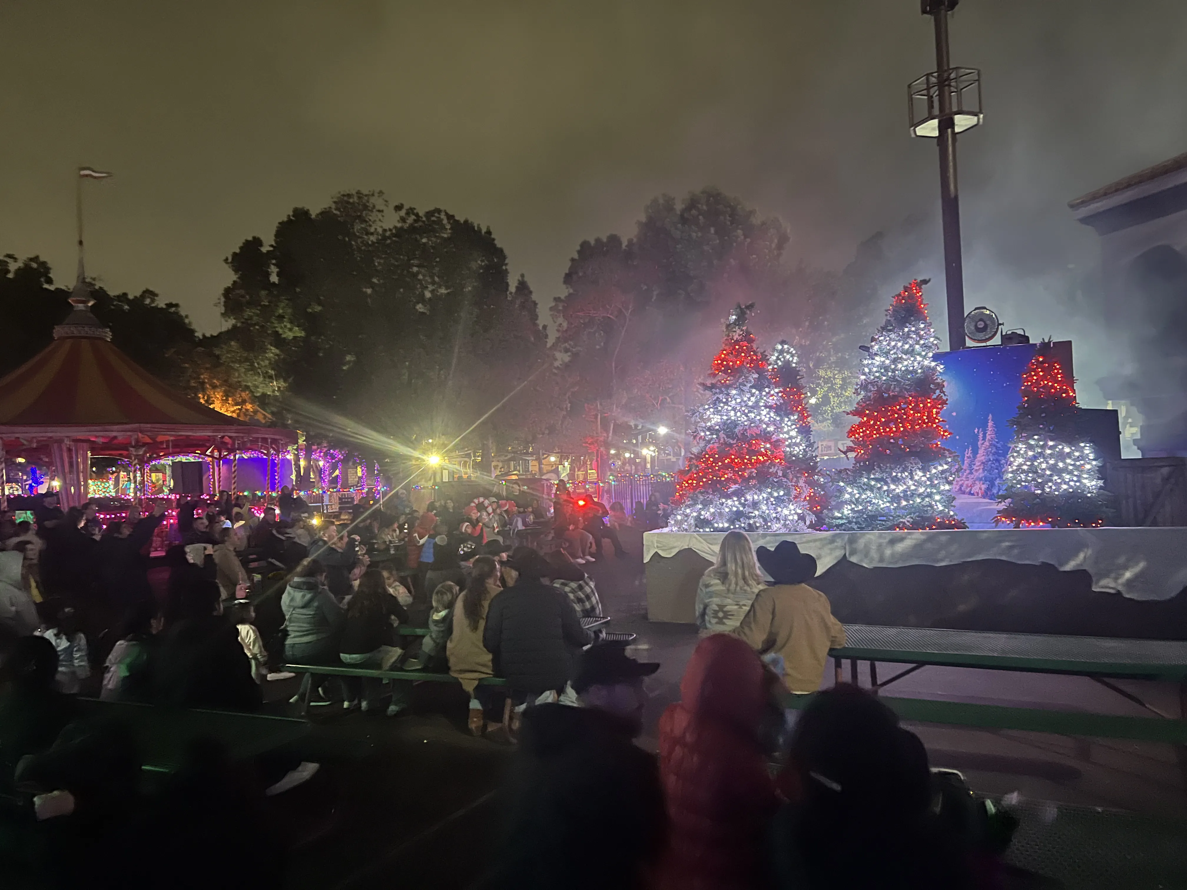 Christmas 2024 Show