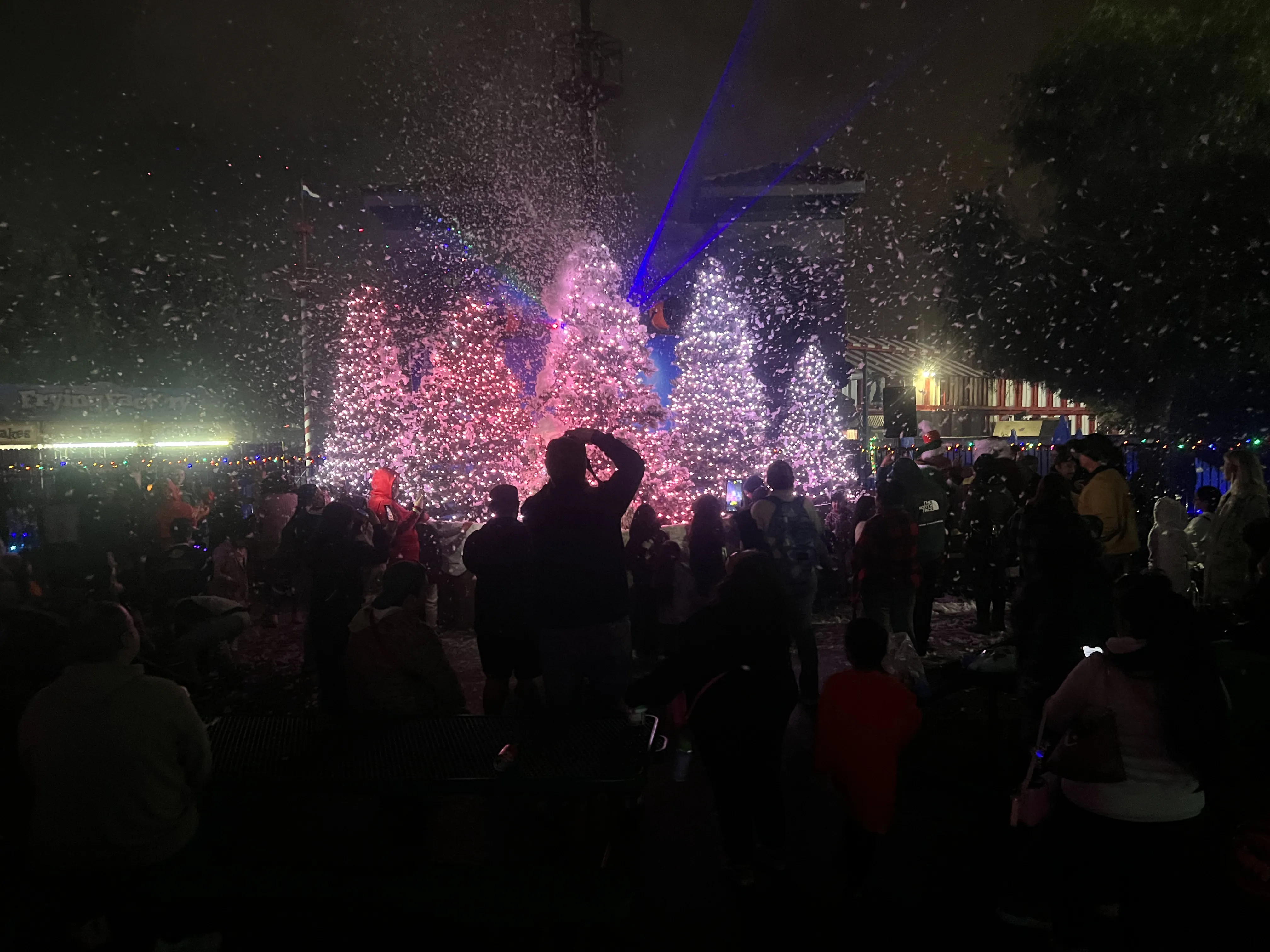Christmas 2024 Show
